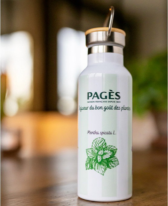 Gourde isotherme / coloris vert - Image 1