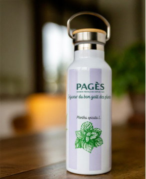 Gourde isotherme / coloris violet