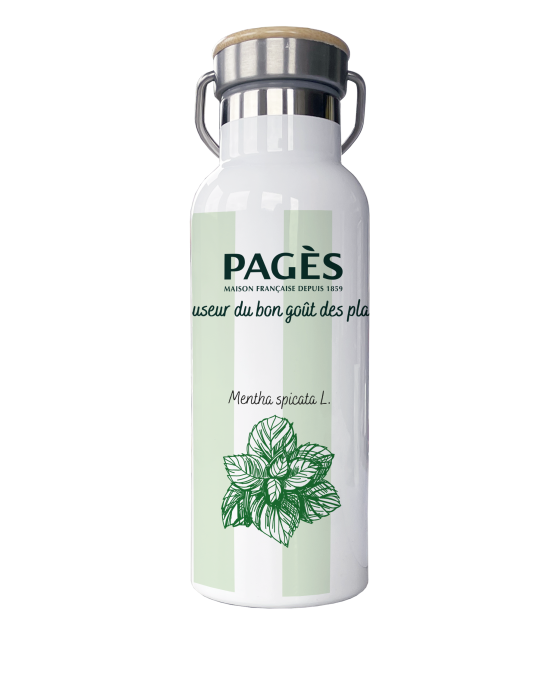 Gourde isotherme / coloris vert