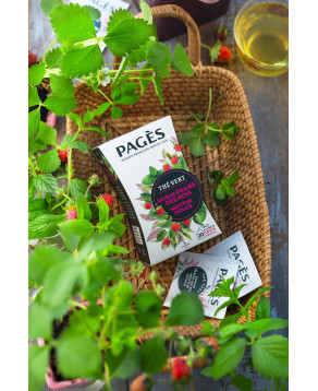 Thé vert saveur Fraise des bois Menthe douce