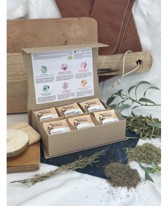 Herbal cold infusion cardboard taster box