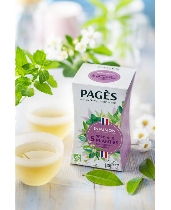 Infusion Spéciale 5 plantes