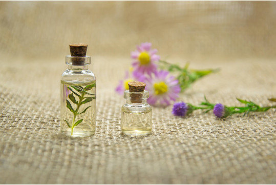 Huiles essentielles : découvrez les infusions Pagès